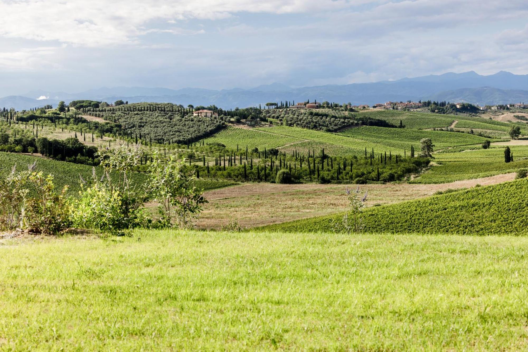 Colle Alberti Country House Cerreto Guidi Bagian luar foto